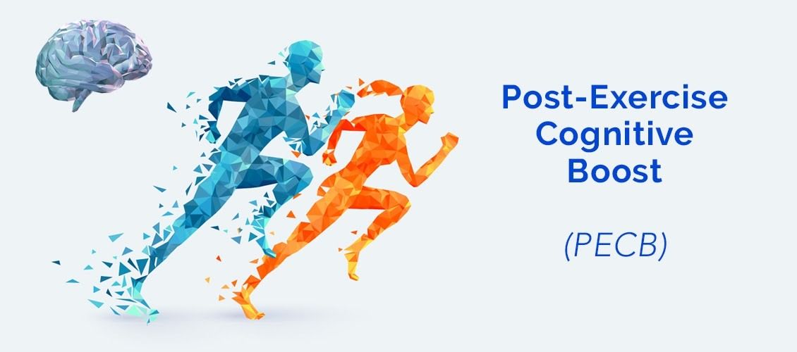 Post-Exercise Cognitive Boost (PECB)