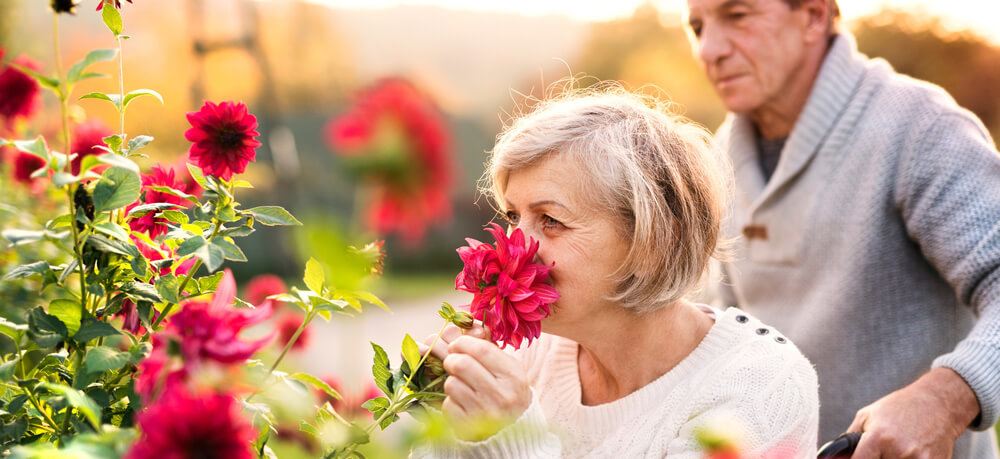 A woman is being pushed in a wheelchair by a man while stopping to smell the roses.