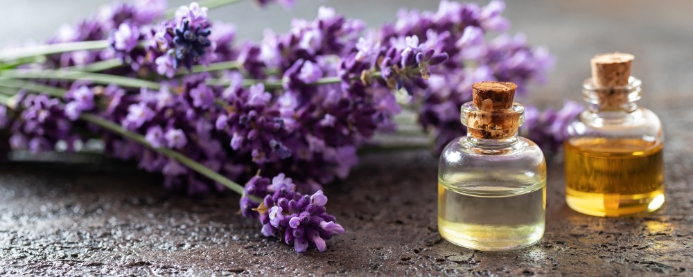 Essential Oils and Lavender