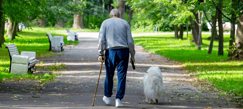 Fresh air and sunshine are beneficial for dementia patients. 