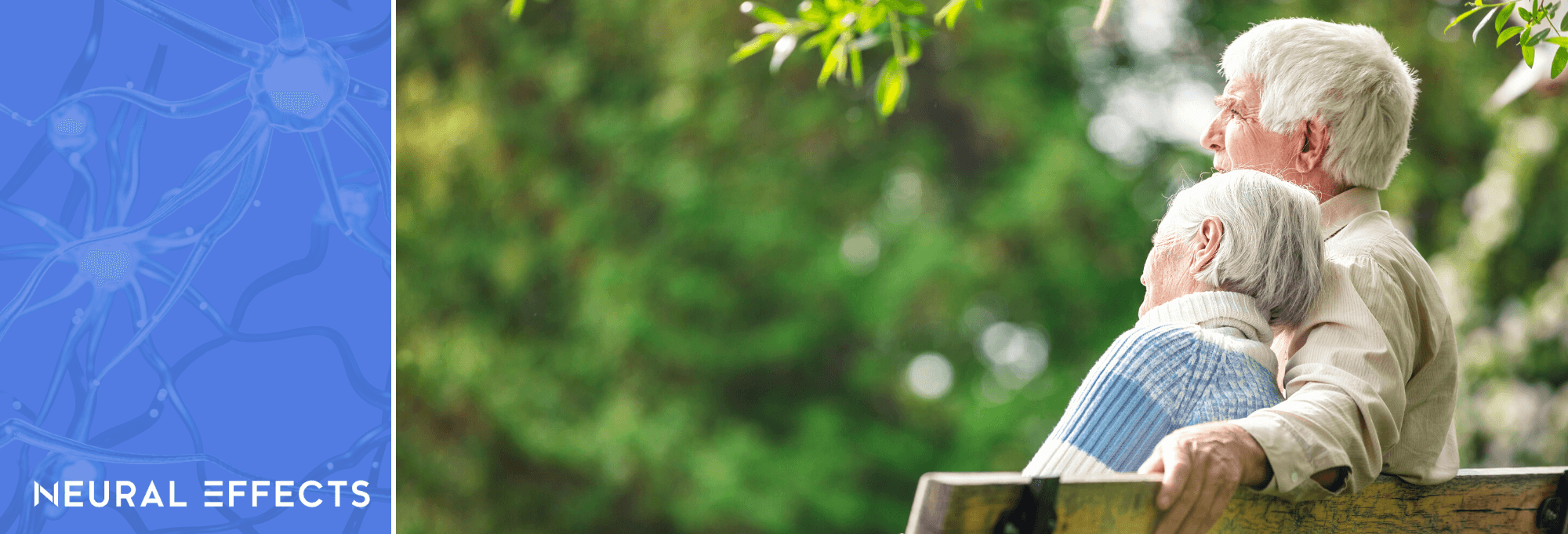 Can Dementia Be Reversed? What Current Research Shows